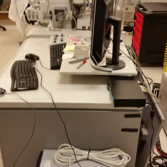 Hitachi S 4700 FE-SEM (Field Emission Scanning Electron Microscope)