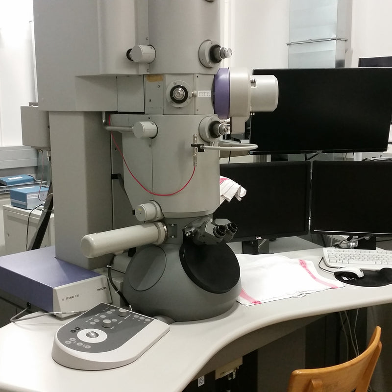 Thermo Fisher Scientific / FEI Tecnai F 30 FEG TEM (Transmission Electron Microscope)