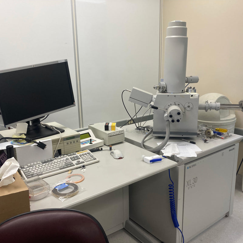 Thermo Fisher Scientific / FEI XL 30 FEG (Field Emission Gun)