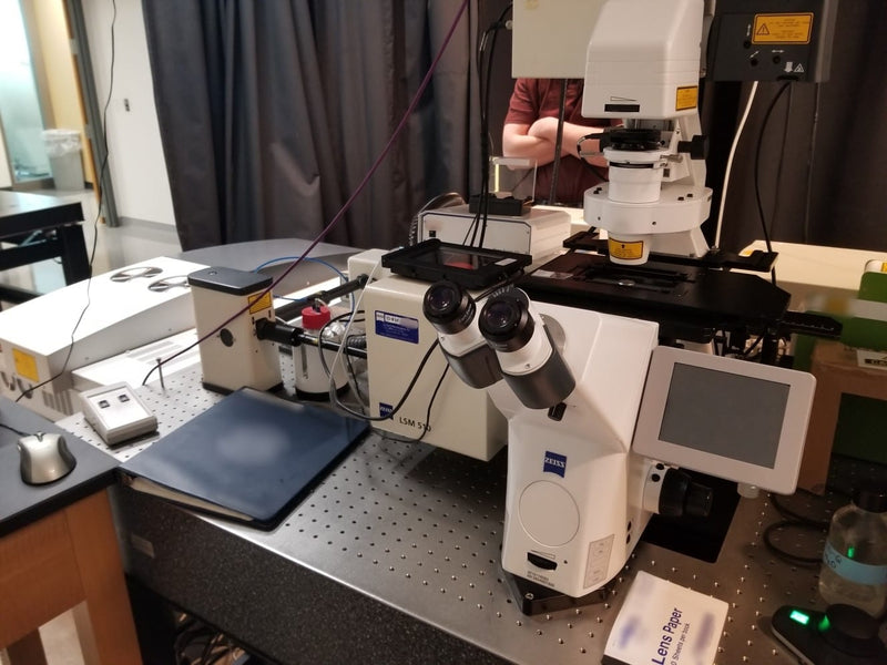 Zeiss 510 Confocal Microscope