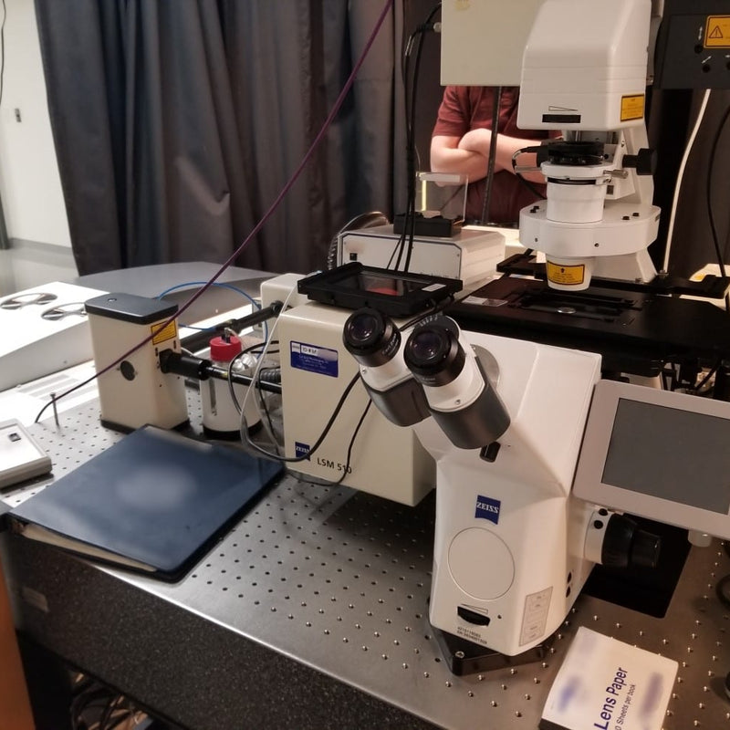 Zeiss 510 Confocal Microscope