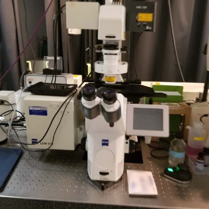 Zeiss 510 Confocal Microscope