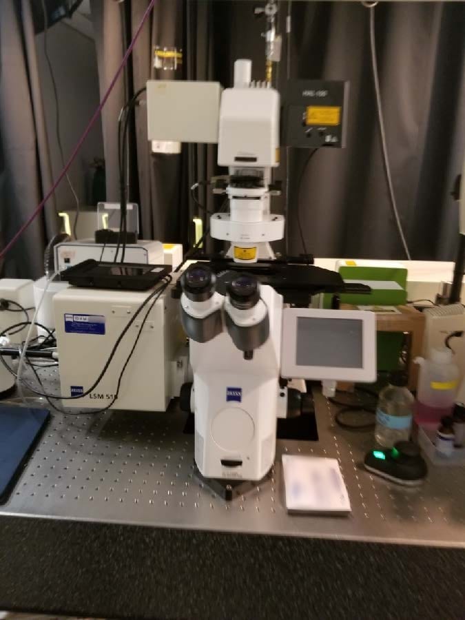 Zeiss 510 Confocal Microscope
