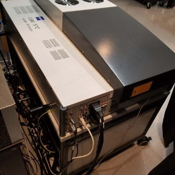 Zeiss 510 Confocal Microscope