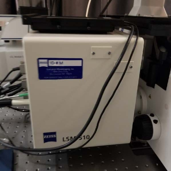 Zeiss 510 Confocal Microscope