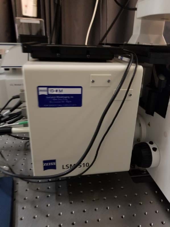 Zeiss 510 Confocal Microscope
