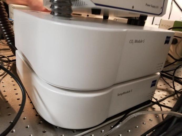 Zeiss 510 Confocal Microscope