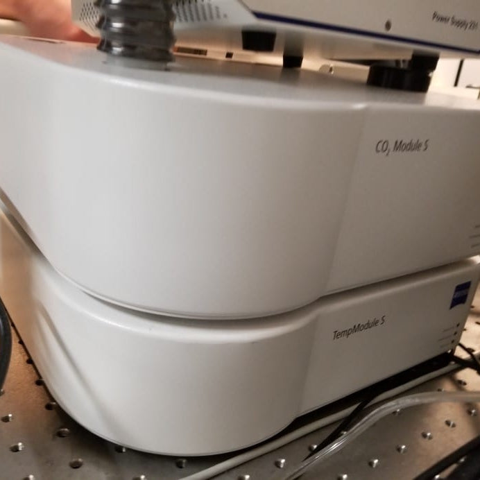 Zeiss 510 Confocal Microscope