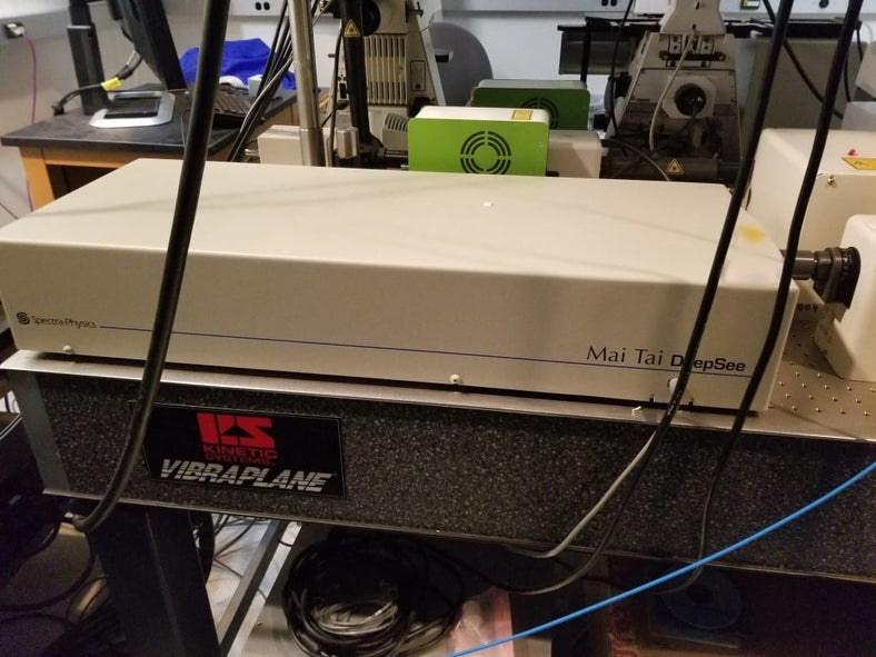 Zeiss 510 Confocal Microscope