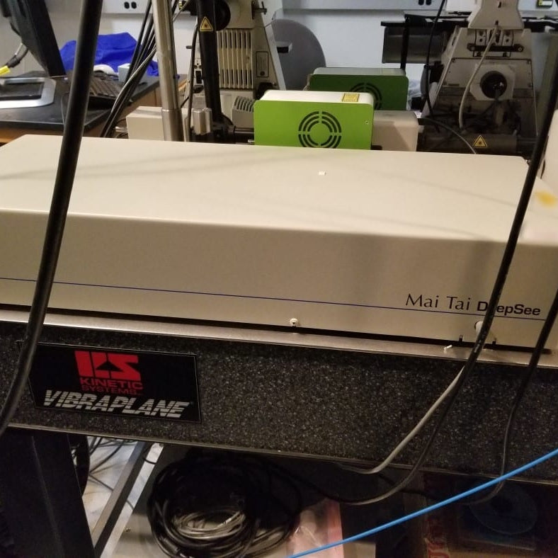 Zeiss 510 Confocal Microscope
