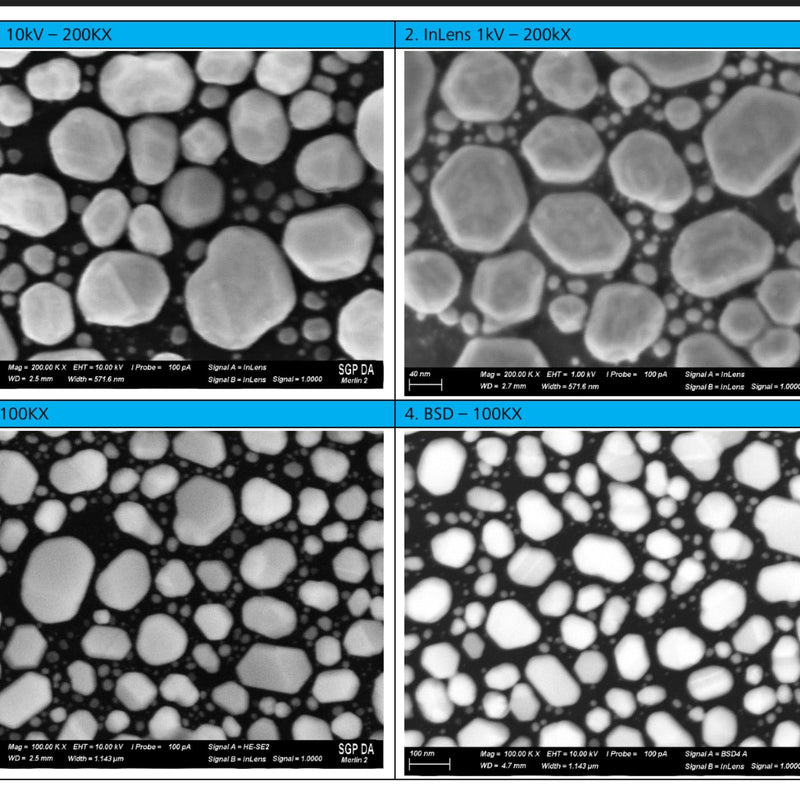 Zeiss Merlin FE-SEM (Field Emission Scanning Electron Microscope)