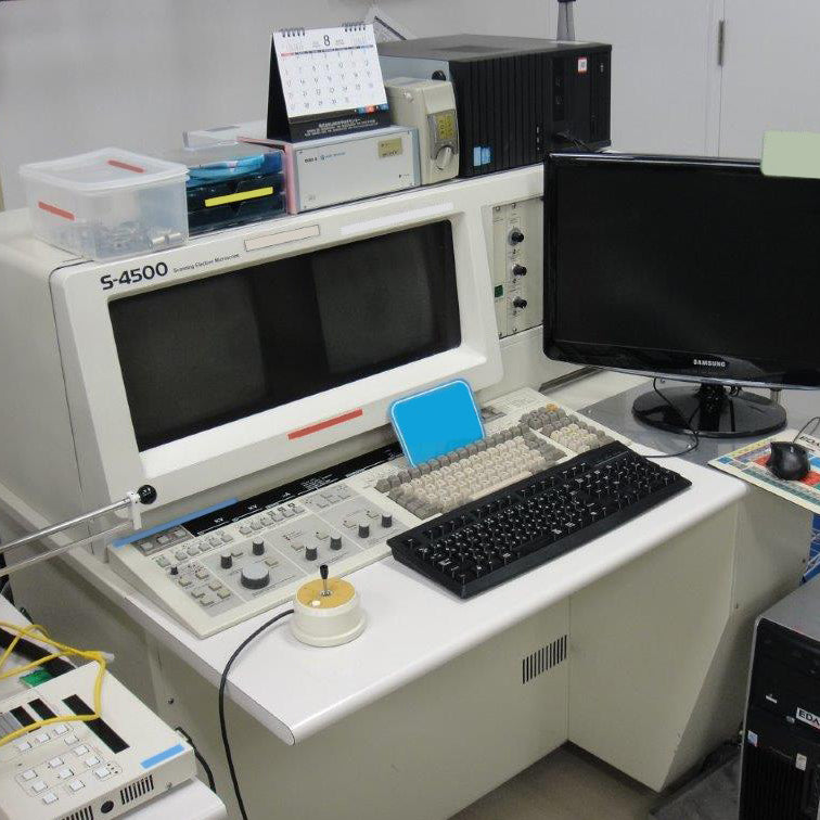 Hitachi S 4500 FE-SEM (Field Emission Scanning Electron Microscope)