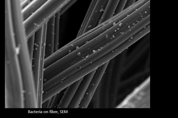 Jeol 7001 F FE-SEM (Field Emission Scanning Electron Microscope)