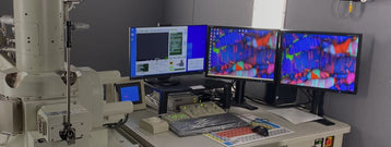 Jeol 7001 F FE-SEM (Field Emission Scanning Electron Microscope)