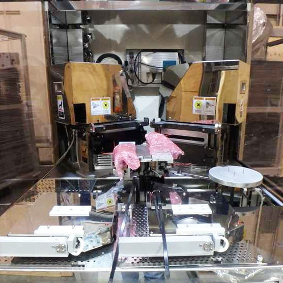 Axcelis Gemini 202 MCU Plasma Asher