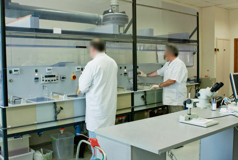 Walter Lemmen Gold and Nickel Plating Line