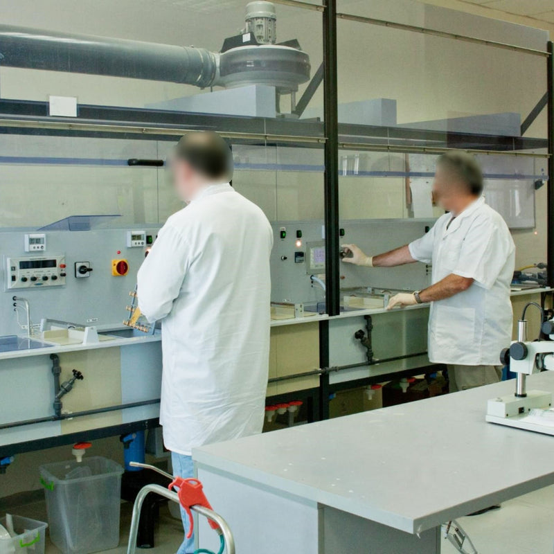 Walter Lemmen Gold and Nickel Plating Line