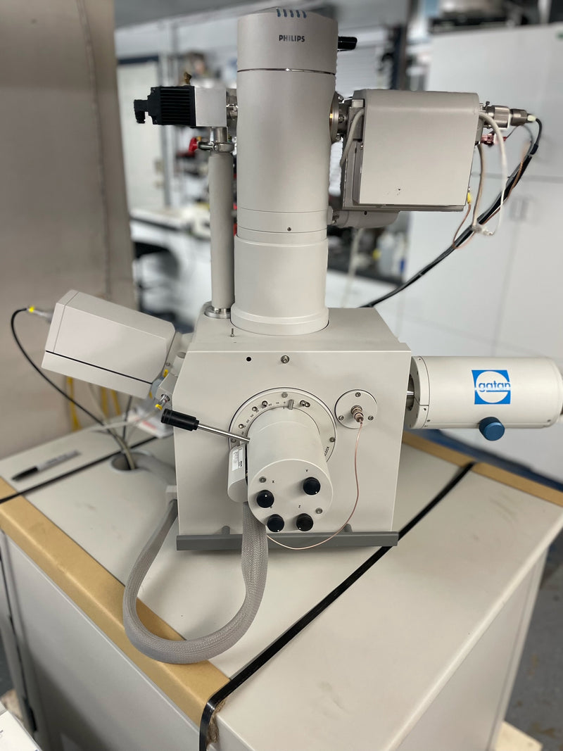 Thermo Fisher Scientific / FEI XL 30 SEM (Scanning Electron Microscope)