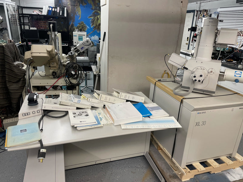 Thermo Fisher Scientific / FEI XL 30 SEM (Scanning Electron Microscope)