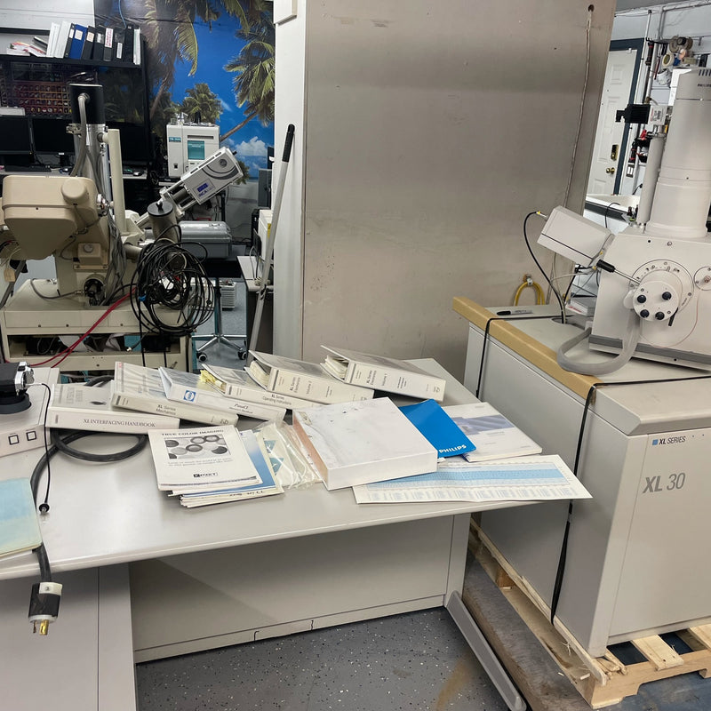 Thermo Fisher Scientific / FEI XL 30 SEM (Scanning Electron Microscope)