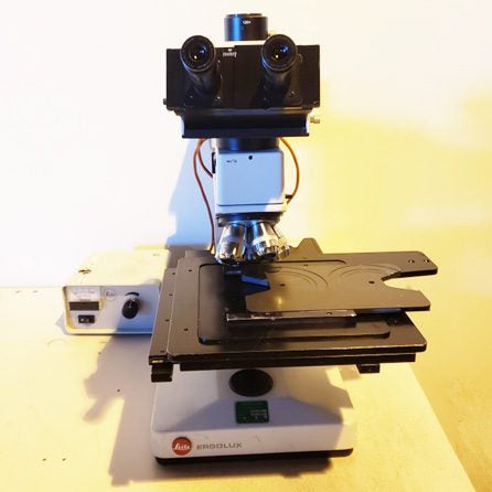 Leitz Ergolux Microscope
