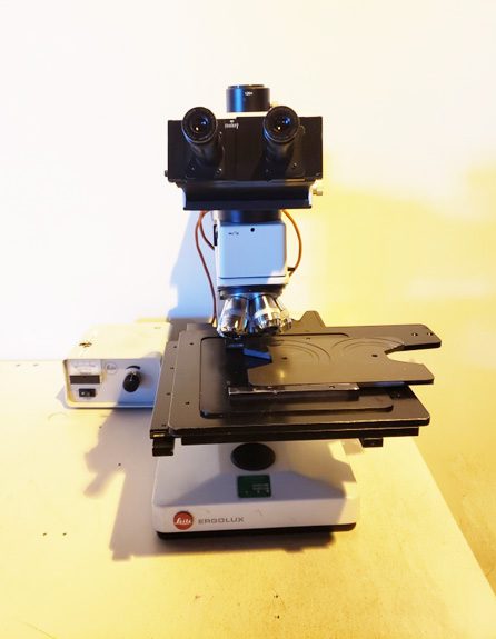 Leitz Ergolux Microscope