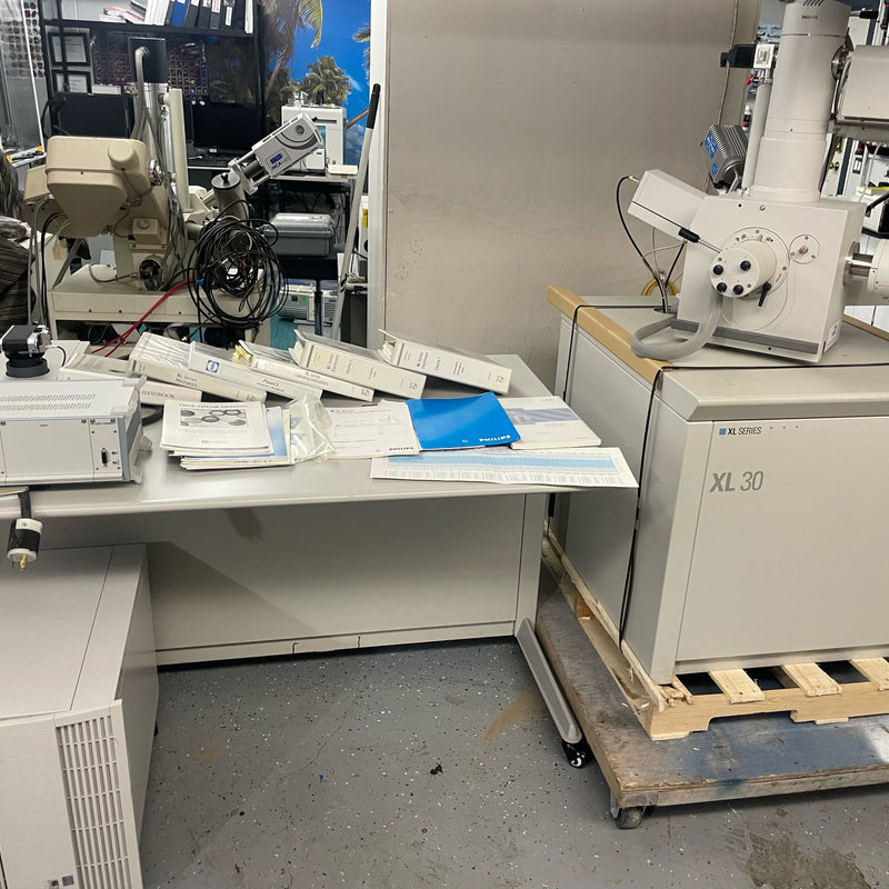 Thermo Fisher Scientific / FEI XL 30 SEM (Scanning Electron Microscope)