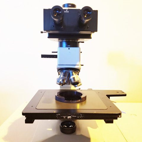 Leitz Ergolux Microscope