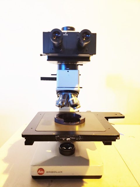 Leitz Ergolux Microscope