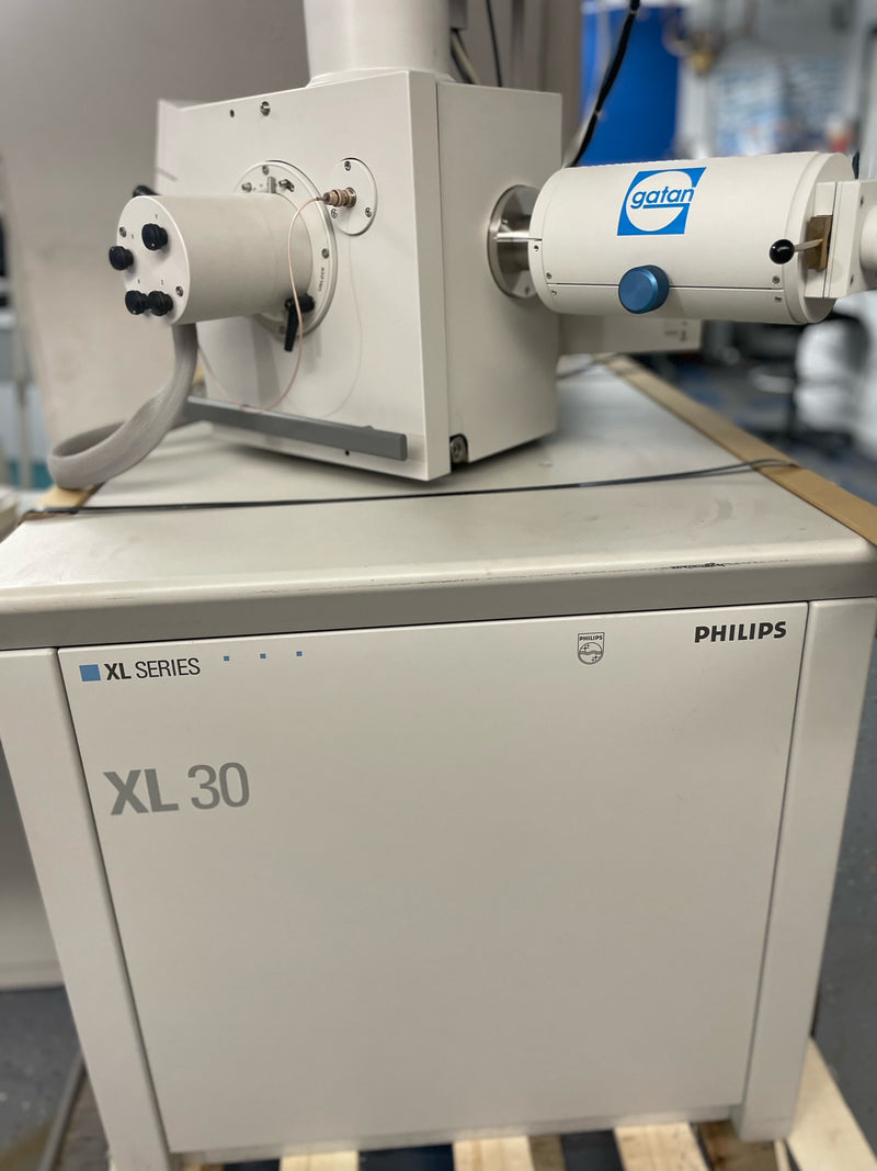 Thermo Fisher Scientific / FEI XL 30 SEM (Scanning Electron Microscope)
