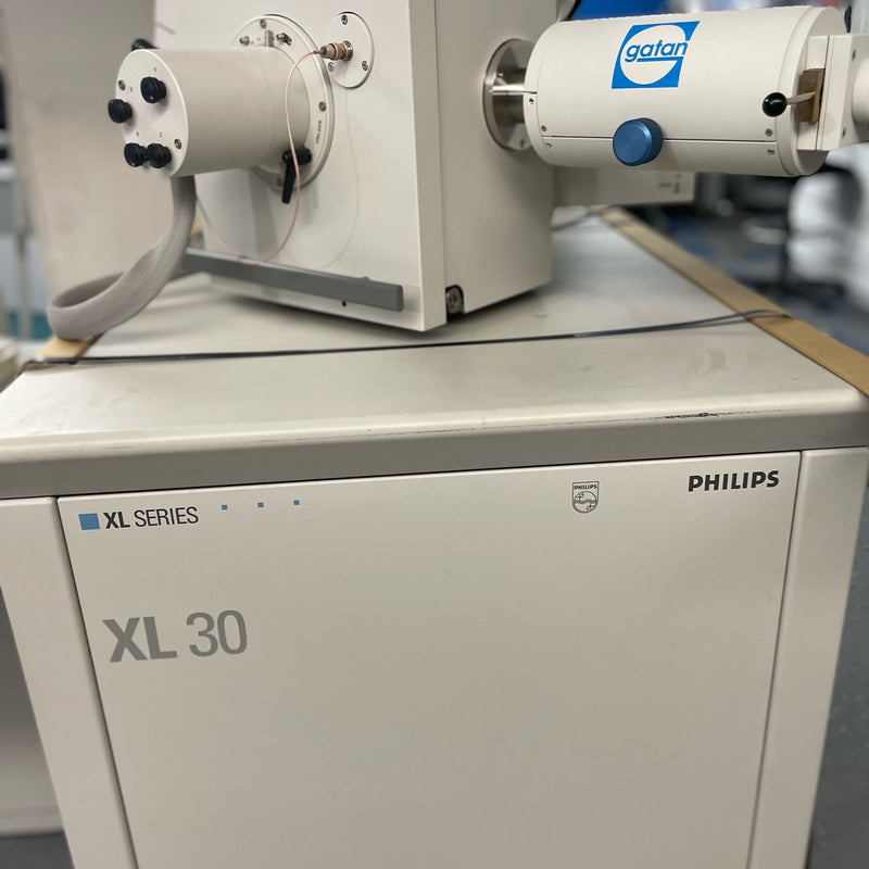 Thermo Fisher Scientific / FEI XL 30 SEM (Scanning Electron Microscope)