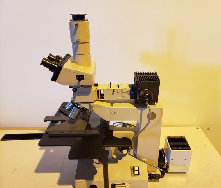 Olympus BH 2 Microscope