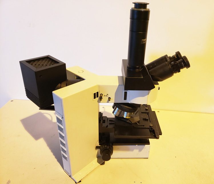 Olympus BX 60 MF 5 Microscope
