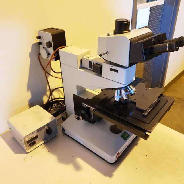 Leitz Ergolux Microscope