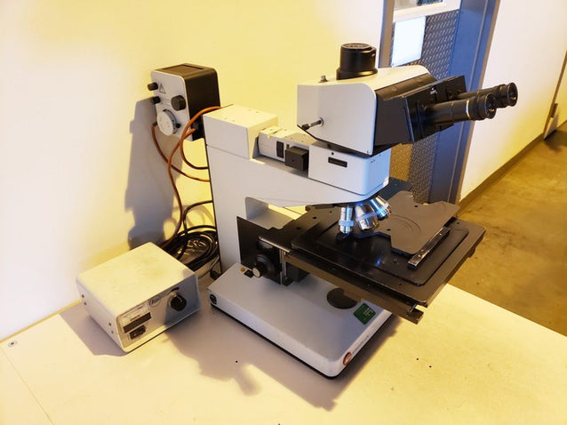 Leitz Ergolux Microscope