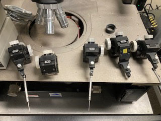 Cascade Microtech 11000 Probe Station