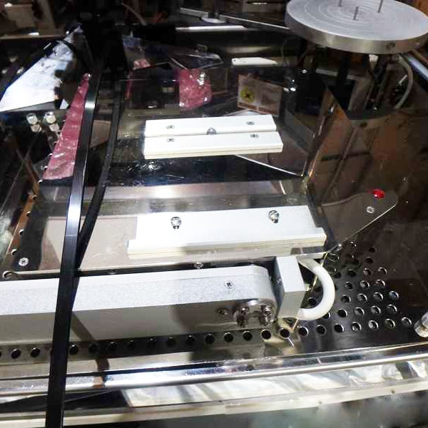 Axcelis Gemini 202 MCU Plasma Asher