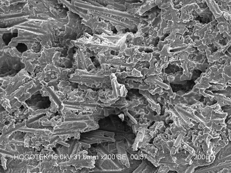 Hitachi S 3400 N VP-SEM (Variable Pressure Scanning Electron Microscope)