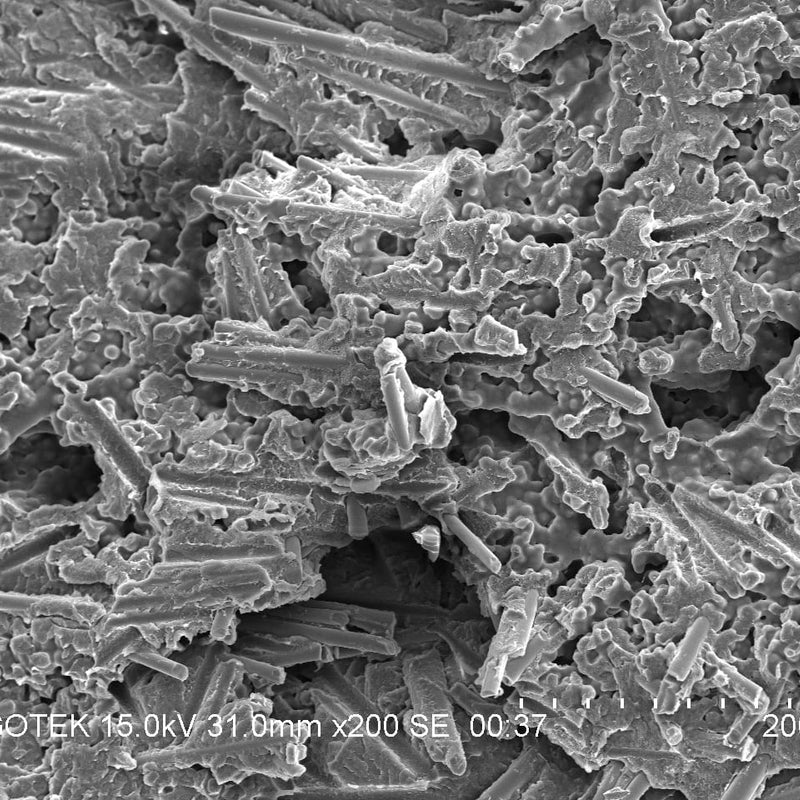 Hitachi S 3400 N VP-SEM (Variable Pressure Scanning Electron Microscope)