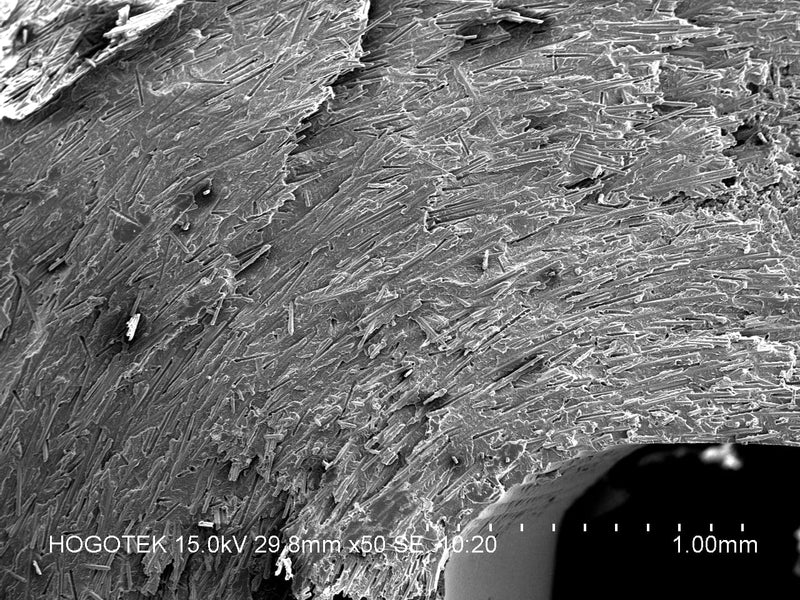 Hitachi S 3400 N VP-SEM (Variable Pressure Scanning Electron Microscope)