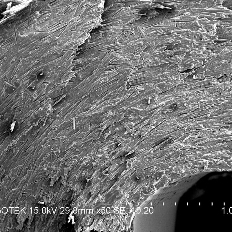 Hitachi S 3400 N VP-SEM (Variable Pressure Scanning Electron Microscope)