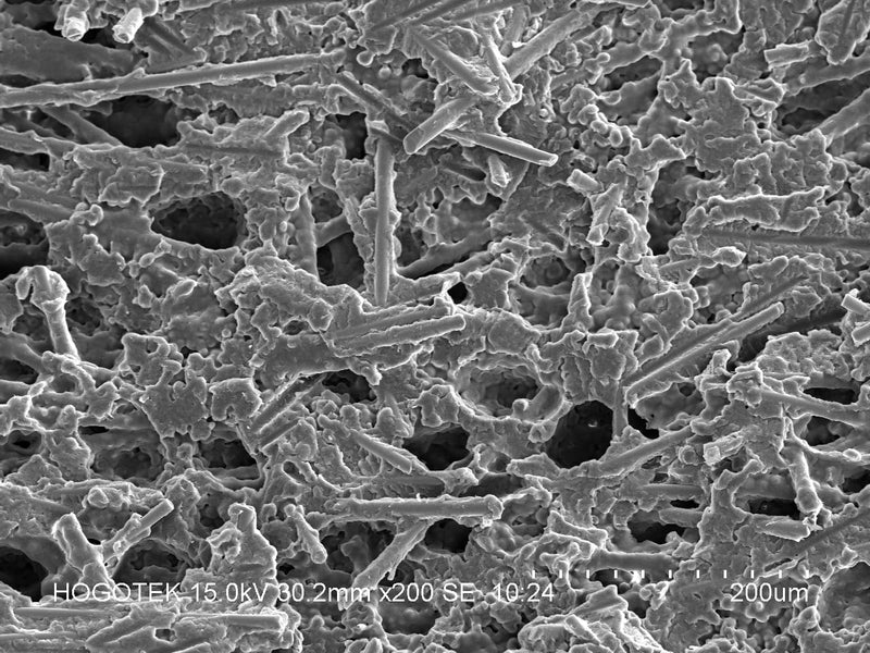 Hitachi S 3400 N VP-SEM (Variable Pressure Scanning Electron Microscope)