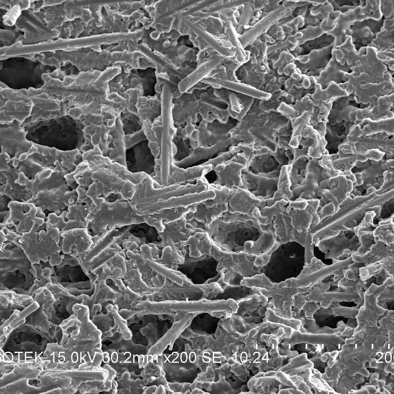 Hitachi S 3400 N VP-SEM (Variable Pressure Scanning Electron Microscope)