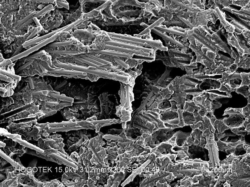 Hitachi S 3400 N VP-SEM (Variable Pressure Scanning Electron Microscope)