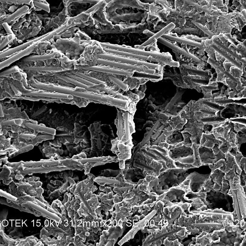 Hitachi S 3400 N VP-SEM (Variable Pressure Scanning Electron Microscope)