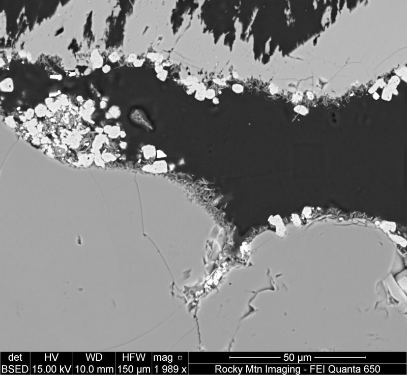 Thermo Fisher Scientific / FEI QEMSCAN Quanta 650 SEM (Scanning Electron Microscope)