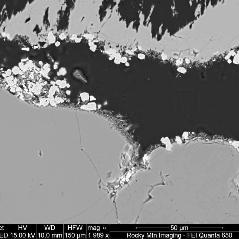 Thermo Fisher Scientific / FEI QEMSCAN Quanta 650 SEM (Scanning Electron Microscope)