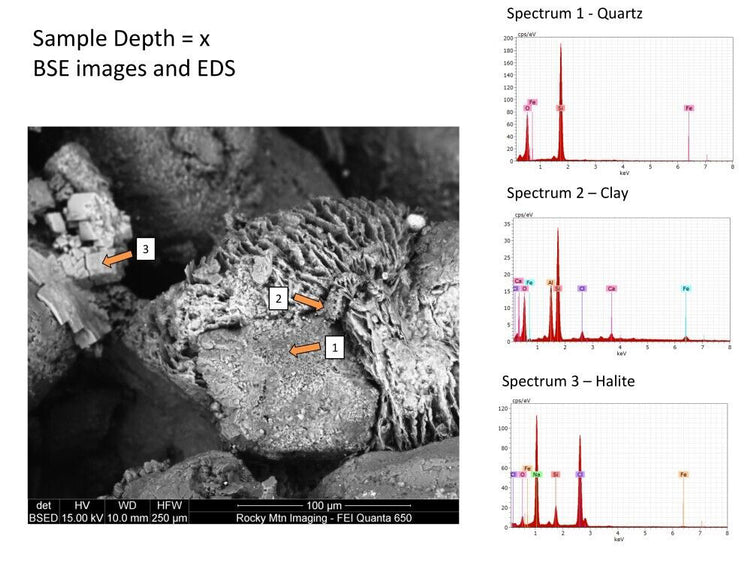 Thermo Fisher Scientific / FEI QEMSCAN Quanta 650 SEM (Scanning Electron Microscope)