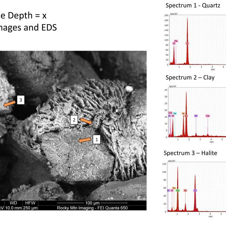 Thermo Fisher Scientific / FEI QEMSCAN Quanta 650 SEM (Scanning Electron Microscope)