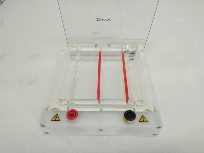 Agarose Electrophoresis Tank and Casting